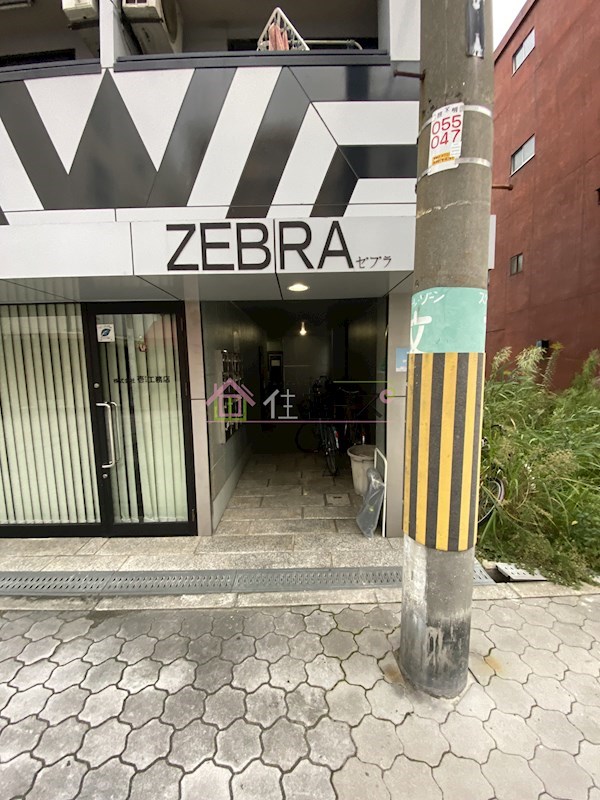 ゼブラ その他1