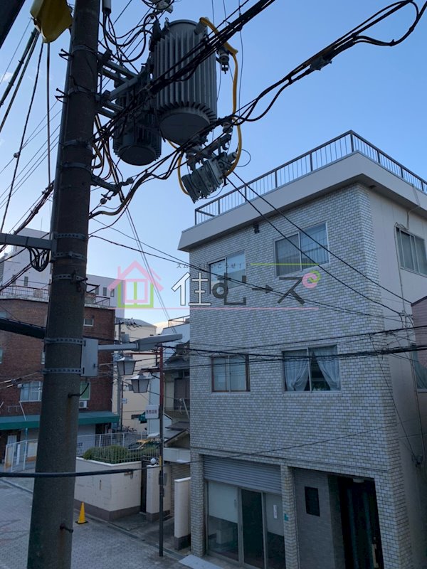 ゼブラ その他2
