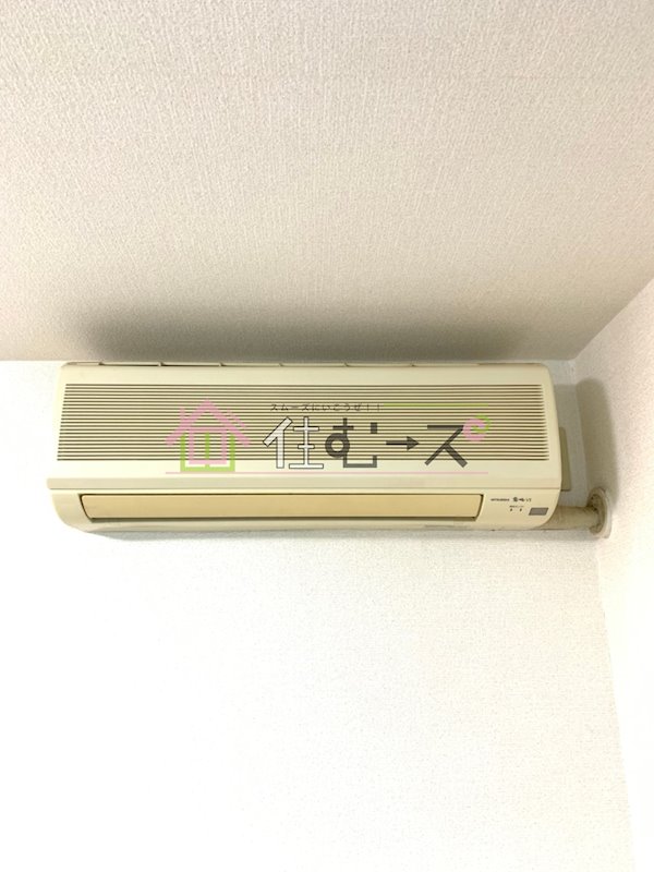 ゼブラ その他3