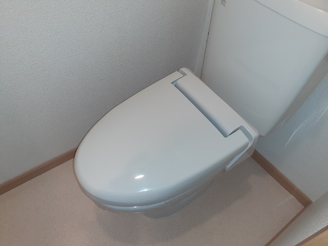 ソレイユ その他2