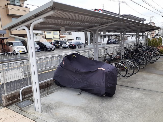 その他7