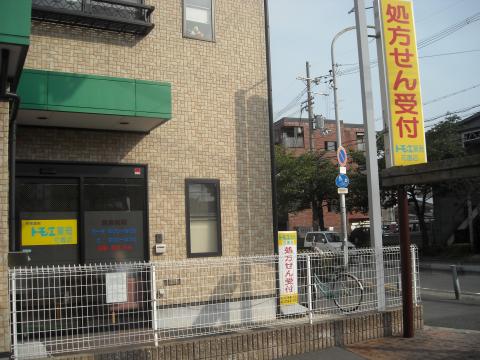 F asecia cer 周辺画像3