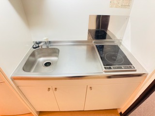 レオネクストセリバテール仁川Ⅱ その他10