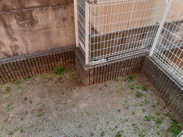 ペリプエストⅠ番館 その他8