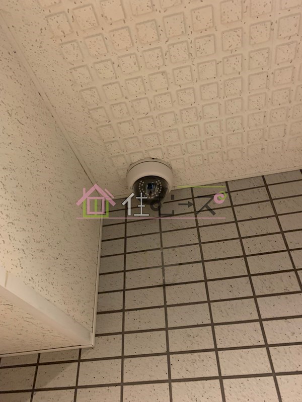 Mヴィレッヂ寺田町 その他外観2