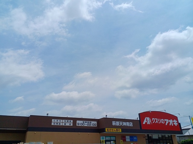 ジン その他外観4