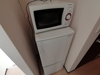 レオネクストマインジマー敷島 その他6