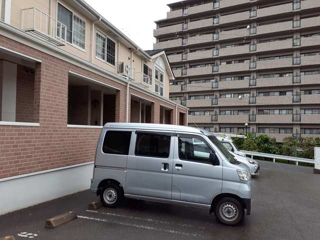 クリプトメリア　アヴェニュ－ その他6