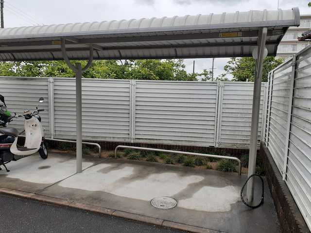 クリプトメリア　アヴェニュ－ その他7
