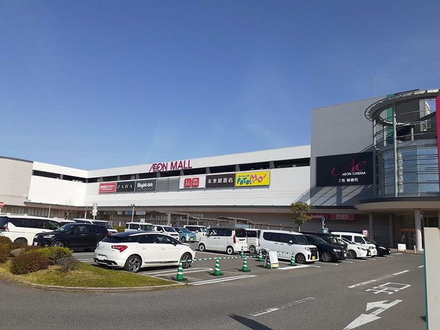 サイプレス　Ⅲ その他外観4