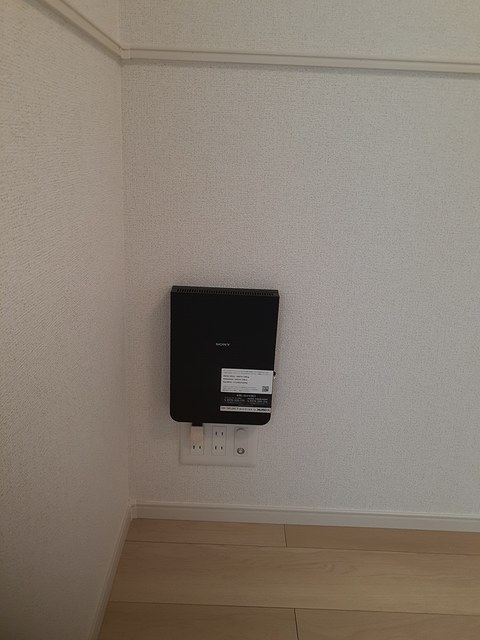 サイプレス　Ⅲ その他8