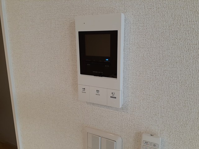 ホメ　モアニケアラ その他6