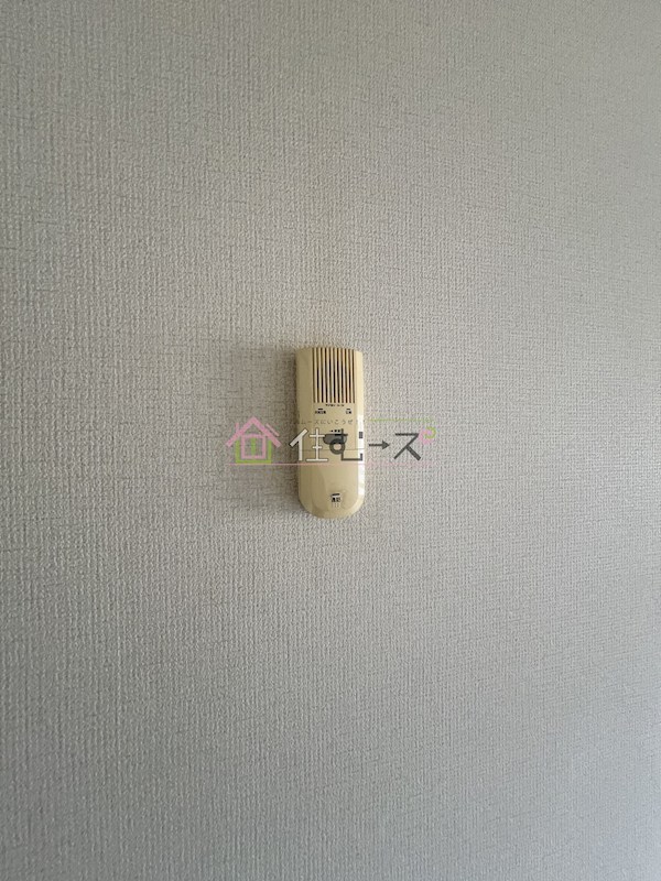 ヴォーン・ルーエ　マンモス その他4