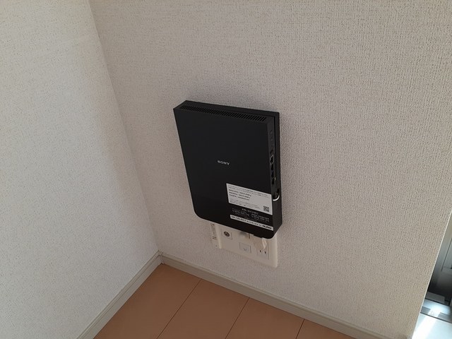 ホメ　ハウオリ その他6