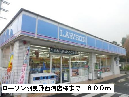 ポンドⅠ その他外観4