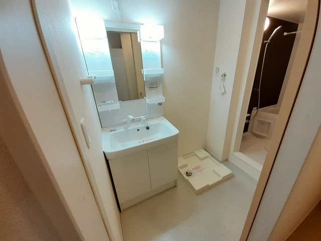 その他1