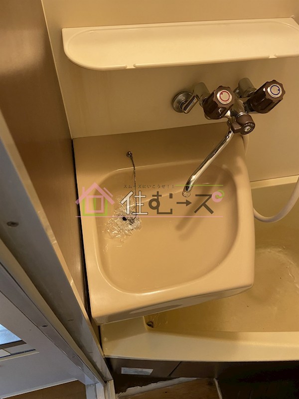 Crest その他2