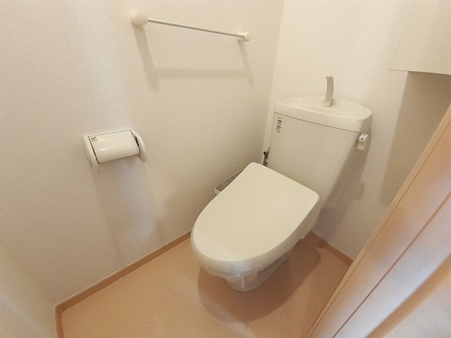 クリプトメリア　アヴェニュ－ その他2