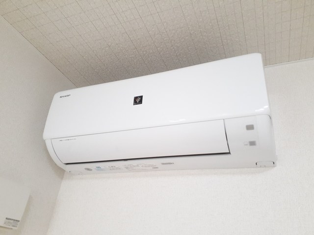 トレ　ペコレ その他1