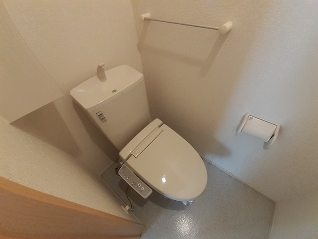 ひまわり その他4