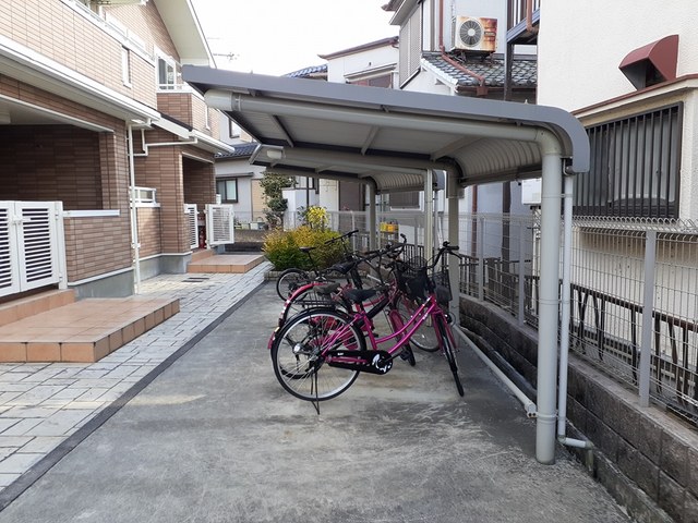 ひまわり その他6