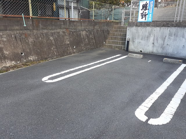 ひまわり その他7