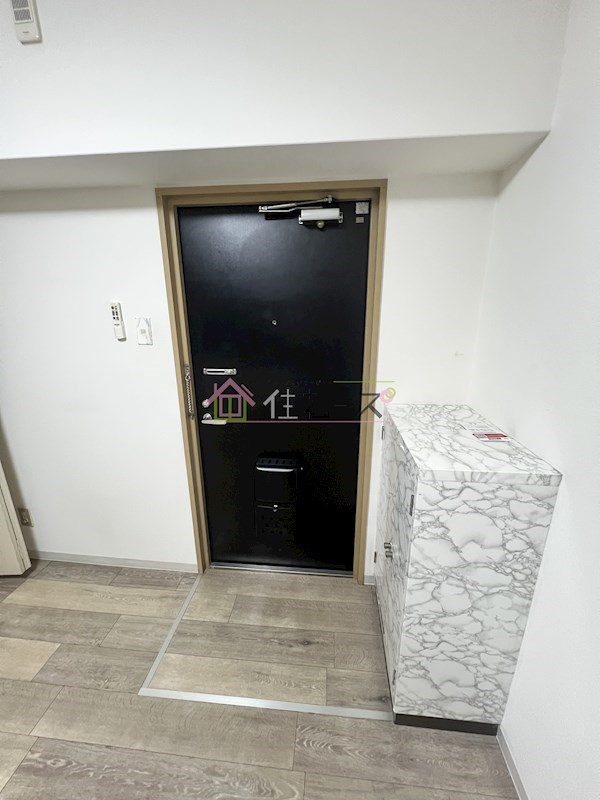 ダイドーメゾン本町 玄関