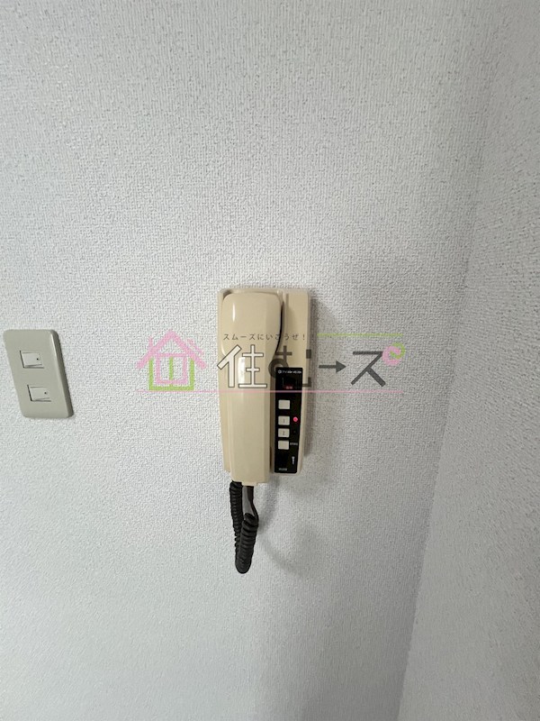 レディースダイテツ その他2