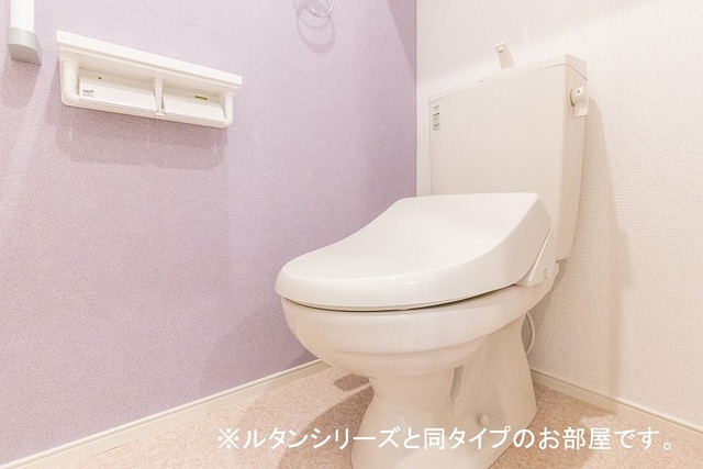 その他5