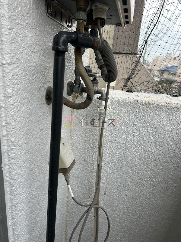 Crest その他6