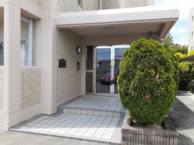 プリムローズⅠ その他5