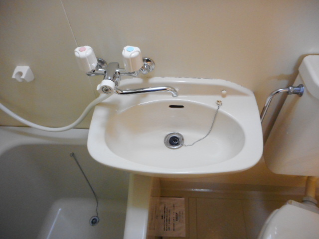 バイオレット輝 その他1