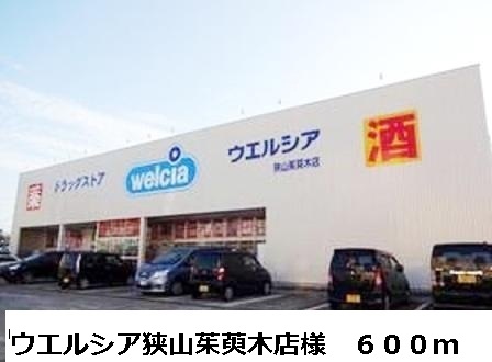 バイオレット輝 その他外観2