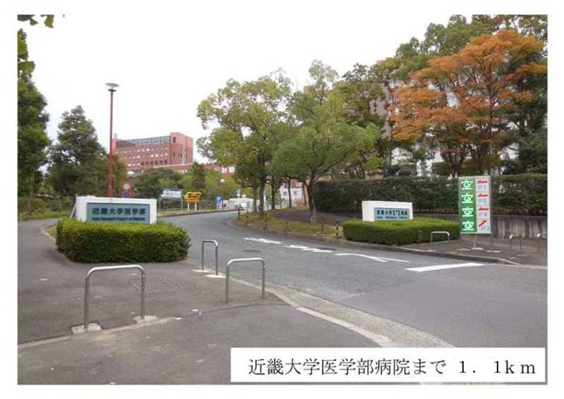 バイオレット輝 その他外観5