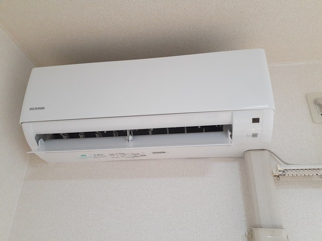 ドマ－ニ その他3