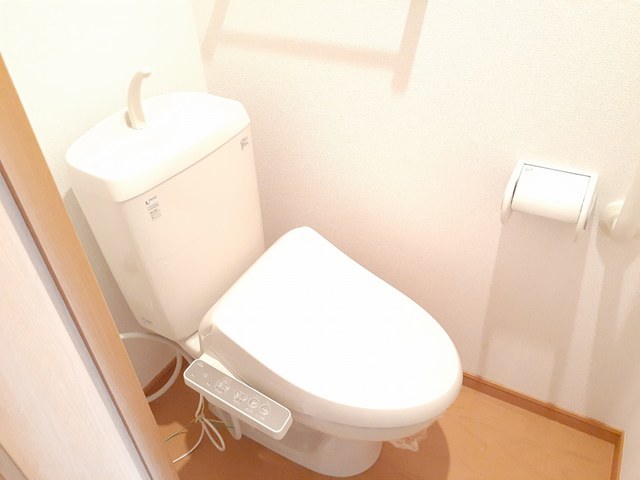 ドマ－ニ その他2