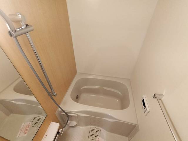 ドリーム錦　走谷 風呂画像