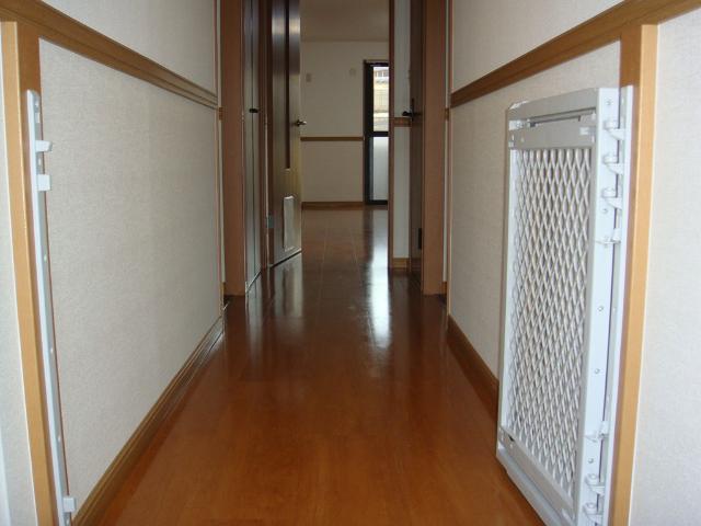 その他13
