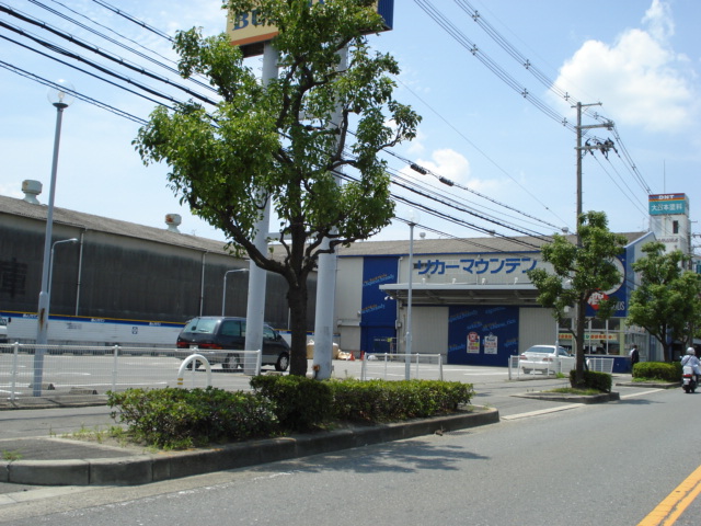 その他17