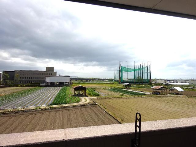その他16