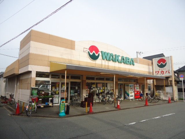 その他18