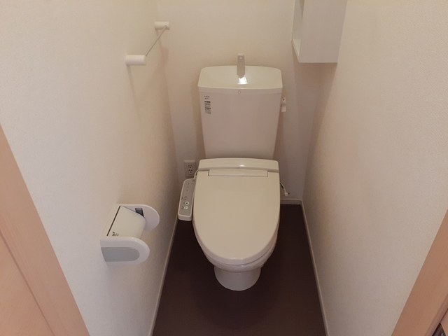 セントーレア その他3