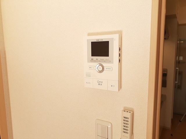 セントーレア その他5