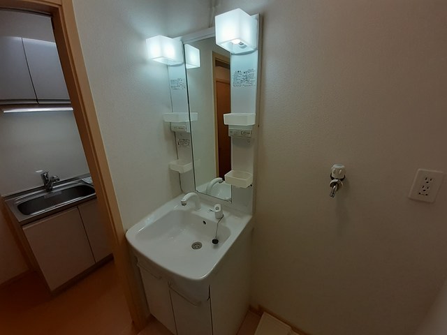 その他1
