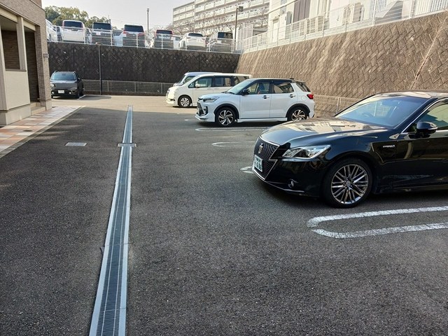 レディバードポイントＢ その他6