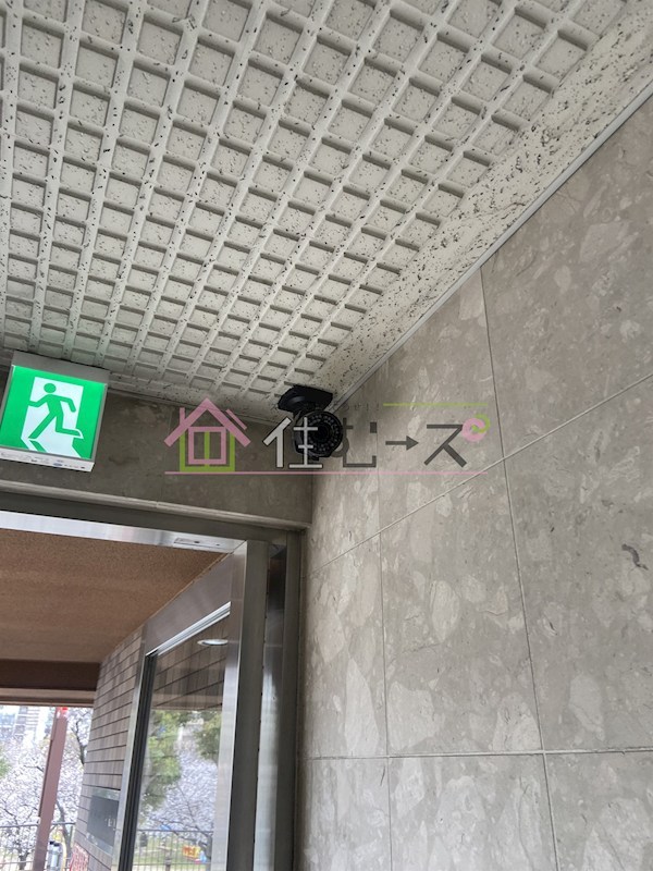 パークアベニュー桜ノ宮 その他外観5