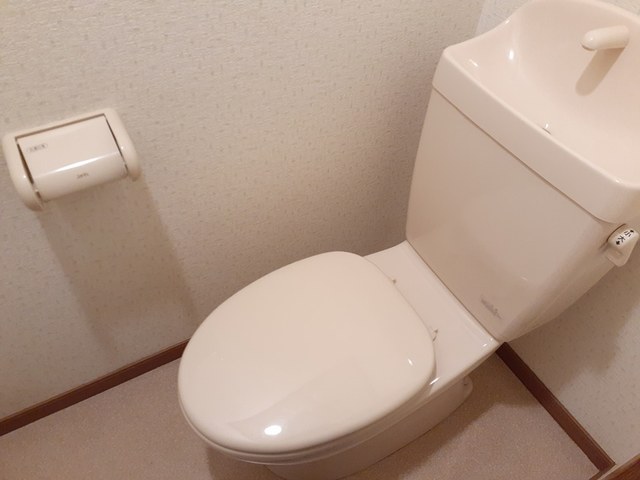 その他5