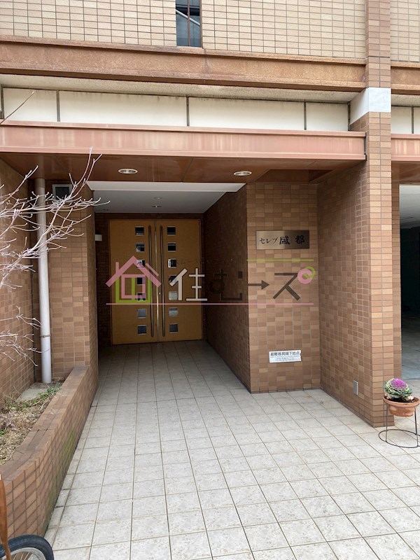 セレブ盛都 その他1