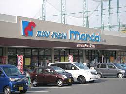 フジパレス小阪Ⅱ番館 周辺画像2