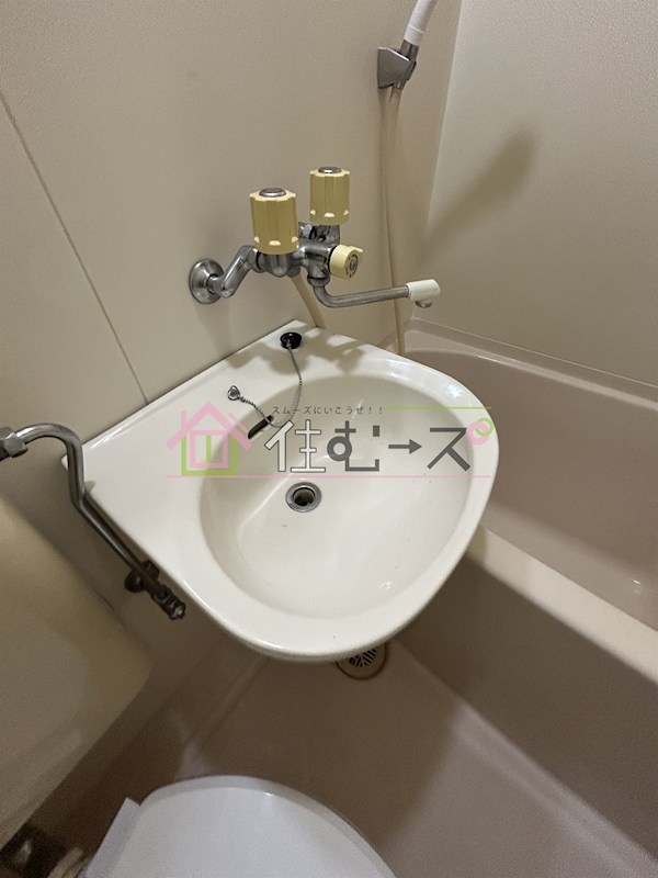 フォンタルトマト その他3